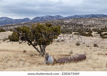 Desert tree and abandoned pipe sitting in yellow grass of high desert in front of bush covered mountain range in rural New Mexico
