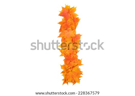 Number 5 made of  colored leaves isolated on white background