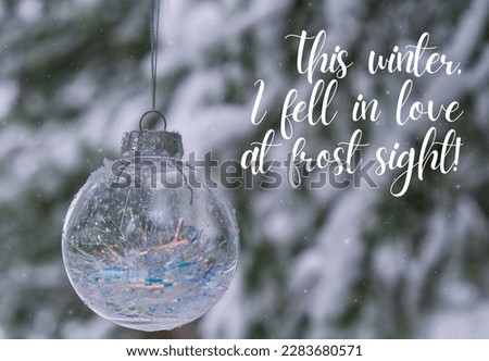 This winter, I fell in love at frost sight Inspiration joke quote phrase Transparent trendy glass Christmas ball on snowy branch firs in winter forest. Winter holiday background. Happy new year Merry