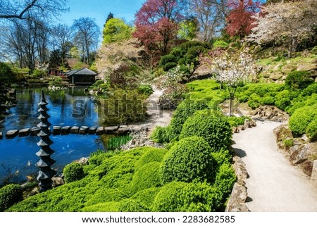Magnolia  blossoms and cherry blossom  in Japanese garden in Kaiserslautern in April, 20  . In left lysichiton camtschatcensis. People in teahouse in distance.    Idyllic  day in Rhineland-Palatinate! Royalty-Free Stock Photo #2283682585