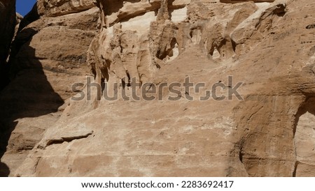 Birdwatching in Petra - Jordan : Rock martin Ptyonoprogne fuligula in front of sandstone wall