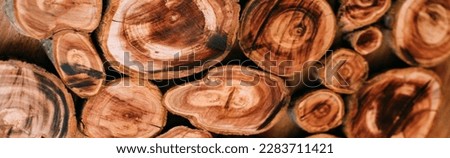 Wooden cuts. Wood for the interior. Cut down fruit trees. Sawn wood, stand for hot, decor. Royalty-Free Stock Photo #2283711421