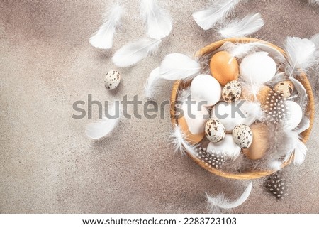 Easter eggs with feathers on light background. Happy Easter card design, top view.