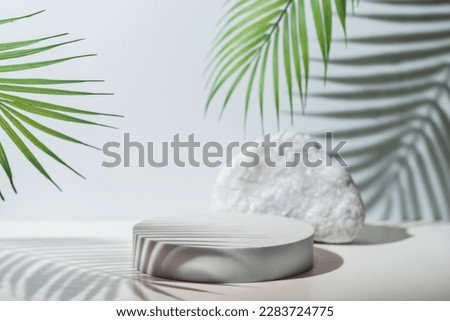 White background of wall with palm shadows and white stone podium. Free space for your decoration. product presentation, mock up, show cosmetic product display, Podium, stage pedestal or platform.