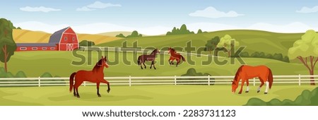 Equine farm landscape. Equestrian ranch stable yard running horses, horse eating grass on summer field, purebred stallion pasture panoramic background ingenious vector illustration of equestrian farm