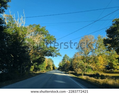 A wide open highway under a clear blue sky. Vegetation is thriving on either side of the highway.