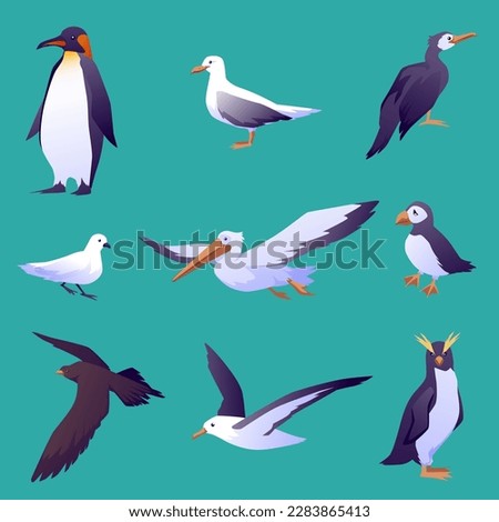 Different sea birds and seagulls collection flat vector illustration isolated on color background. Seabird gulls and penguins, inhabitants of the sea or coast.