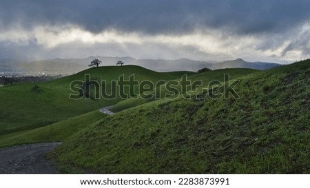 Green rolling hills in the foggy and raining day.