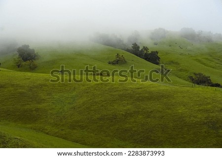 Green rolling hills in the foggy and raining day.