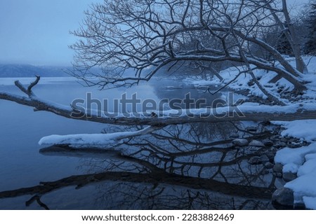 Pale winter twilight lakeside scenery