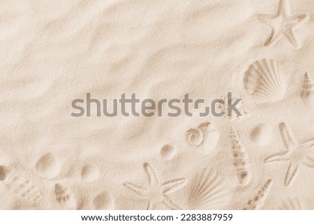 Top view of a sandy beach texture with imprints of exotic seashells and starfish as natural textured background Royalty-Free Stock Photo #2283887959