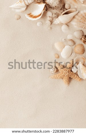 Sandy beach with collections of seashells and starfish as natural textured background for summer travel design 
