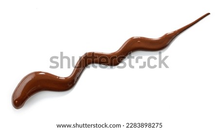 melted chocolate isolated on white background, top view