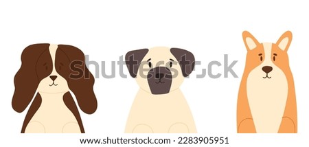 Set of dogs in flat style. Vector illustration. Collection of purebred dogs isolated on white background. Spaniel, pug, corgi.