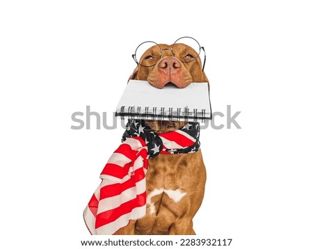 Cute puppy, notepad with blank page and American Flag. Business style. Closeup, indoors. Day light, studio photo. Isolated background. Concept of care, education, training and raising pet