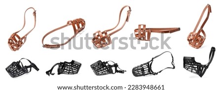 Collage with dog muzzles on white background, different sides Royalty-Free Stock Photo #2283948661