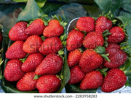 Red Strawberries in the Spring Season, Grand Bazaar Eminonu, Fatih Istanbul, Turkiye 