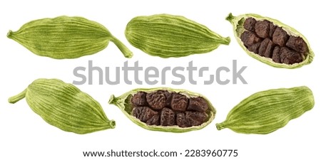 Cardamom isolated on white background, clipping path, full depth of field Royalty-Free Stock Photo #2283960775