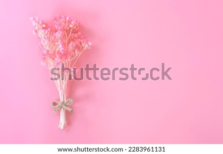 Flat lay of pink dried flower on pink background with copy space