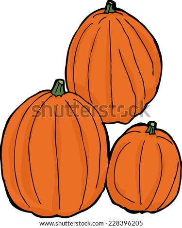 Hand drawn set of three ripe pumpkins over white