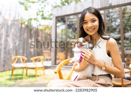 Happy Asian woman playing with her chihuahua dog at pets friendly dog park cafe. Domestic dog with owner have fun urban outdoor lifestyle on summer vacation. Pet Humanization or pet parents concept.