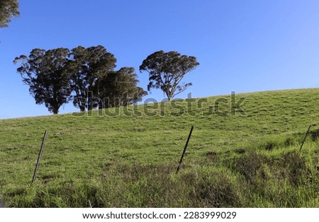 Natural Landscape Photography, View of South Coast country area Nowra