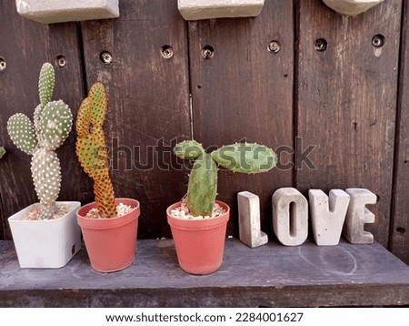 welcome sign with cactus pot