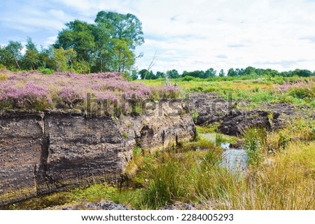 Irish peat bog landscape - (Ireland - Europe) Royalty-Free Stock Photo #2284005293
