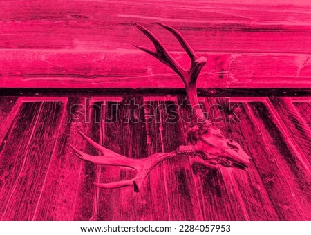A digitally-enhanced photo of the skull of a deer buck with large antlers hanging askew on a wooden building, with a modern, pink-and-black overlay.