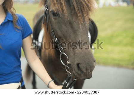 Girl with horse. Horse in park. Reins at horse. Rider holding horse.