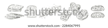 Set of loaf of bread. French baguette. Slices and crumbs. Rye rounde rustic bread or whole grain baked bread. Logo, icon. Vector sketch realistic line vintage illustration Royalty-Free Stock Photo #2284067995