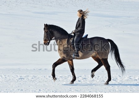 Equestrian girl walks horseback with  thoroughbred dressage horse in the winter fields