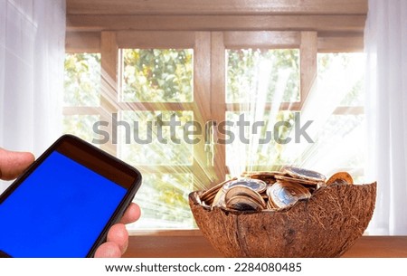 Coconut shell with coins and holding a mobile phone in hand.