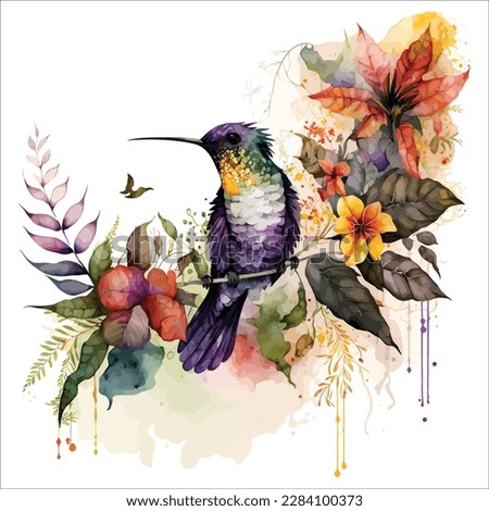 watercolor illustration, set beautiful tropical bird, hummingbirds in isolated white background. Image of an exotic birdie in color. vector Royalty-Free Stock Photo #2284100373
