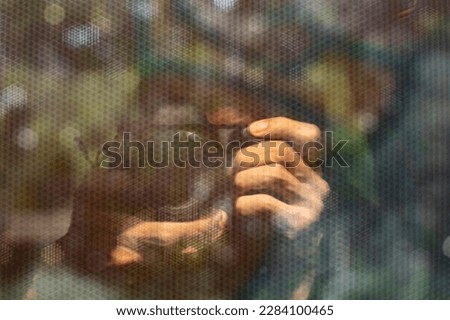 Auto tram with canon camera. Hands held by camera. Photographer took pictures of himself. Royalty-Free Stock Photo #2284100465