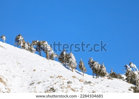 View of mountain slope after a heavy snow storm.