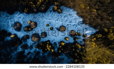 aerial photography over Italian mountain, trees taking sunlight at sunset, winter in the mountain.

pine trees changing color, snow on the mountain floor