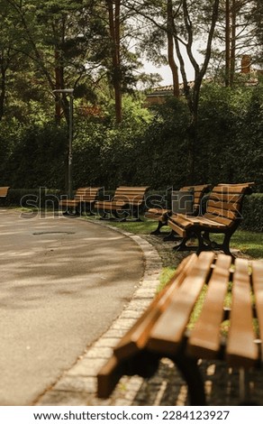 Park benches outside. Park in the summer. Sunny day in the park. A row of benches, view from the side