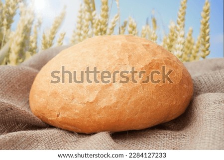 A loaf of wheat lies on a coarse sackcloth. Close-up. In the background, spikelets of wheat and blue sky