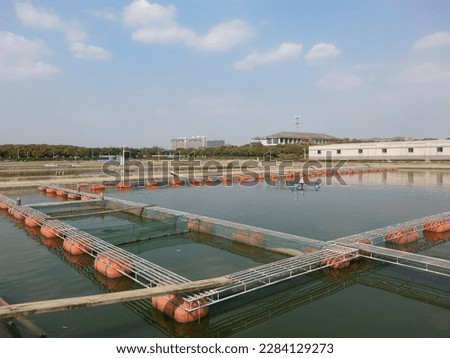 Fish pond with fish cages inside