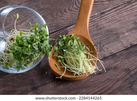Young flax sprouts in a wooden spoon on a wooden table. Sprouted flax seeds, against the background of a germination jar. Super food, micro-green. Royalty-Free Stock Photo #2284144265