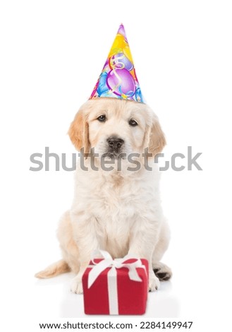 Golden retriever puppy wearing party cap sits with gift box. isolated on white background