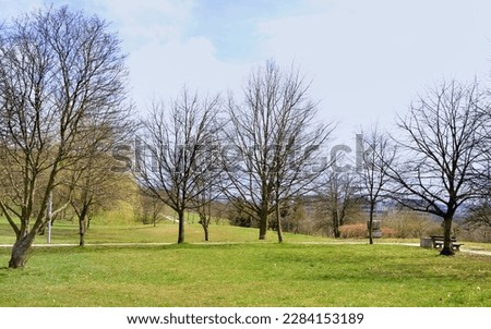 Photo in the city park near the housing estate - fields of hilly grasses with bare trees - spring early April Royalty-Free Stock Photo #2284153189