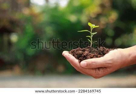 Planting a tree for help to prevent global warming or climate change and save the earth. Picture for concept of Mother Earth Day to encourage people about the environmental protection.
