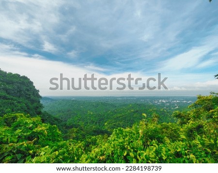 
A view of a forest from a mountain