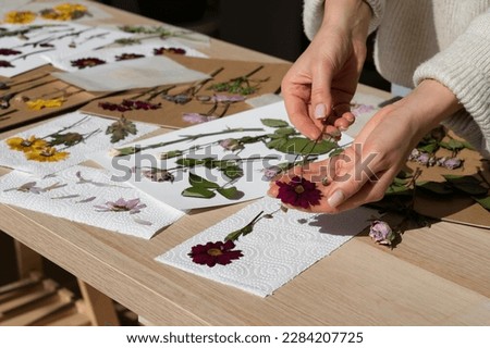 pressed flowers. flat pressed dried flower background. Dry pressed flowers. making decoration with pressed flowers and leaves. Beautiful dried flowers. Royalty-Free Stock Photo #2284207725