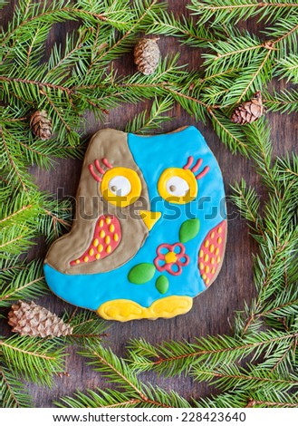 Christmas homemade gingerbread cookie in the form of an owl on a wooden background with fir branches and cones , selective focus, space for text