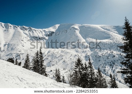 Alpine mountains landscape with white snow and blue sky. Sunset winter in nature. Frosty trees under warm sunlight. Wonderful wintry landscape, Western Tatras, Slovakia