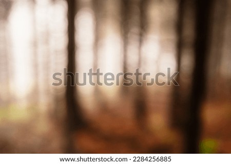 Mountain landscape in Jeseniky, view of the mountain range from the hiking trail on the top of small Jezernik from cernohorske saddle. Mysterious foggy forest in autumn.