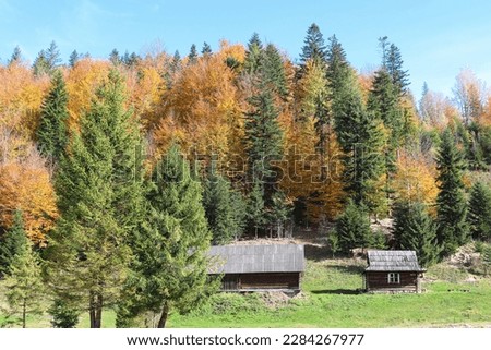 Colorful fall picture with forest and wood old houses in countryside. Ukraine Carpatian mountains
